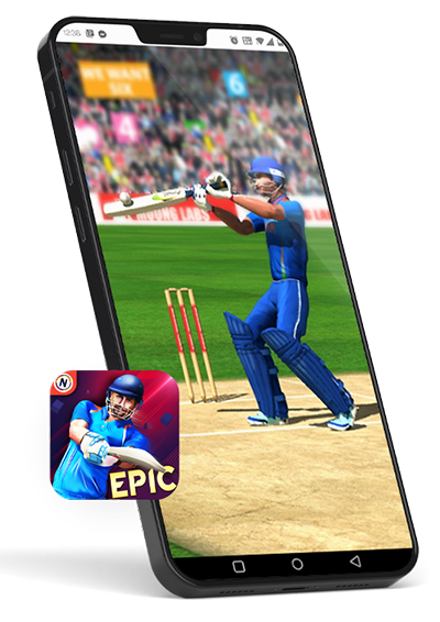 Epic cricket interface